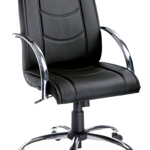 Linha Calilan - Diretor Giratória