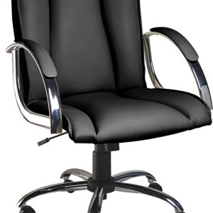 Linha Cygnus - Diretor Giratória